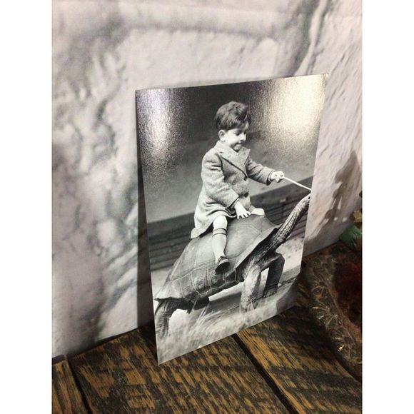 Reprint Photo Odd Bizzare Boy Riding Turtle Reprint Vintage - Picture 9 of 10